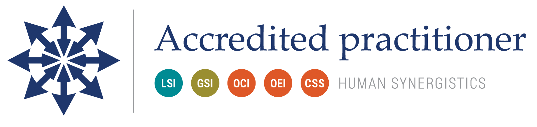 Human Synergistics Accredited Practitioner - LSI, GSI, OCI, OEI, CSS